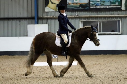 Competing at our last dressage event, only a few days before she fell ill. She won her first class and came 4th in the next.